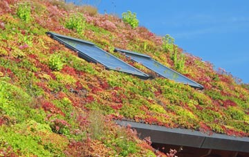 New Byth living roof systems